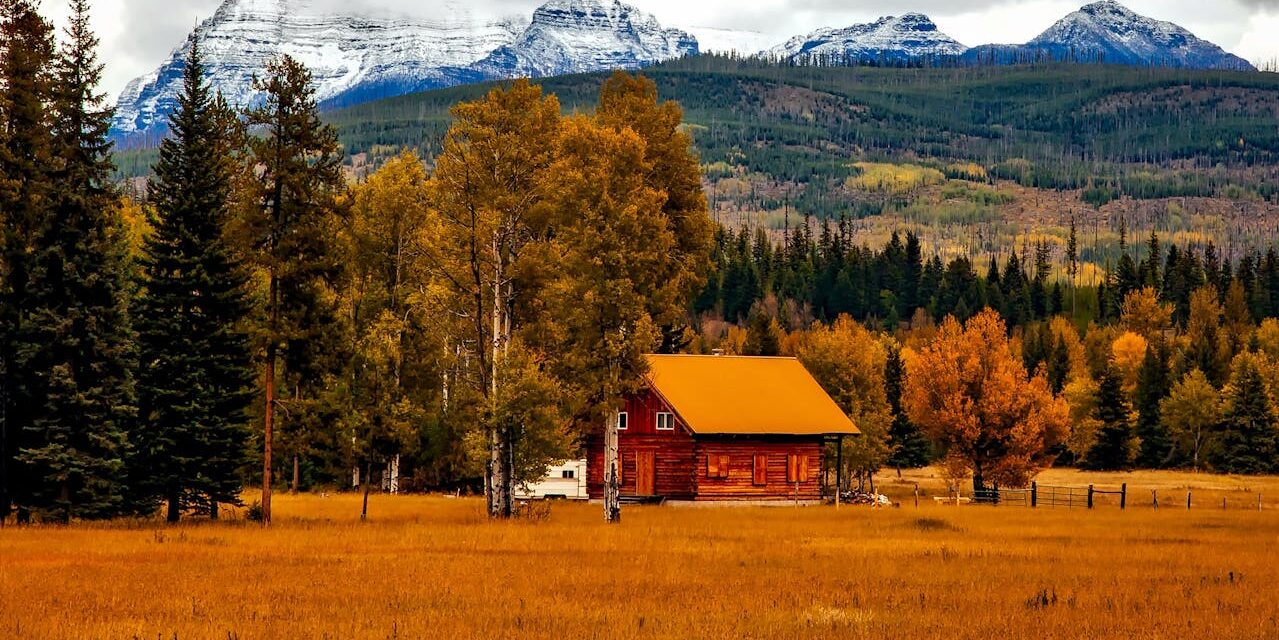 The History of the State of Colorado