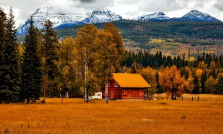 The History of the State of Colorado