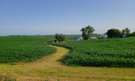 The History of the State of Iowa