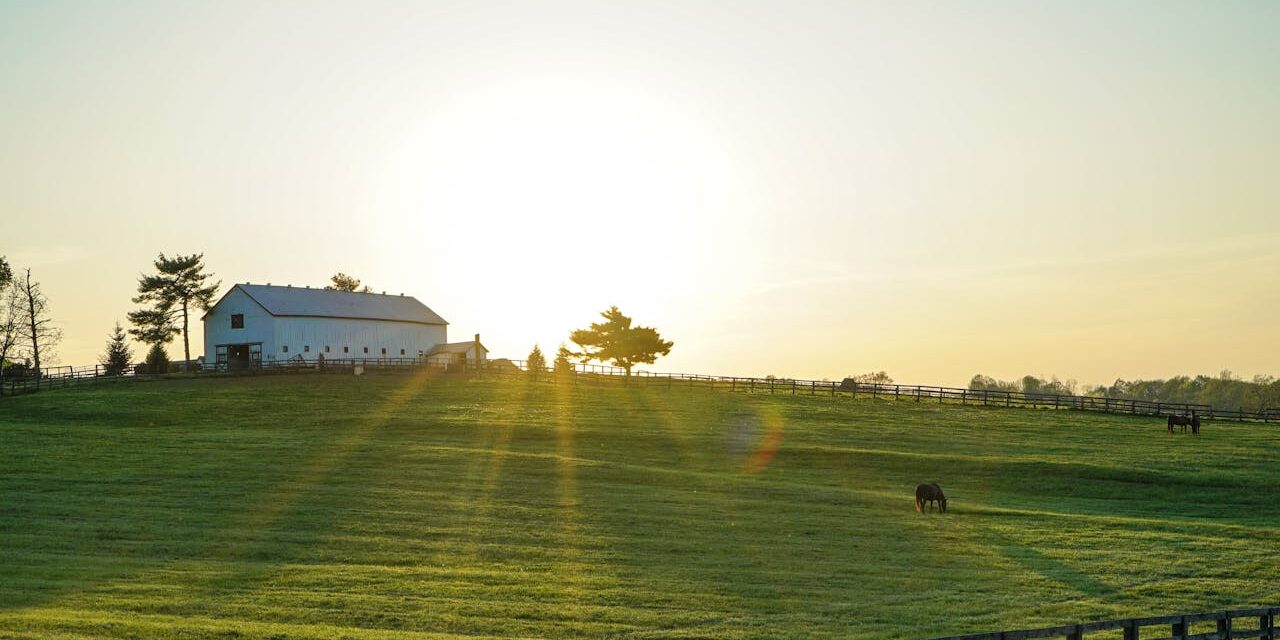 The History of the State of Kentucky