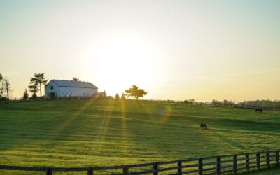 The History of the State of Kentucky