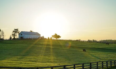 The History of the State of Kentucky