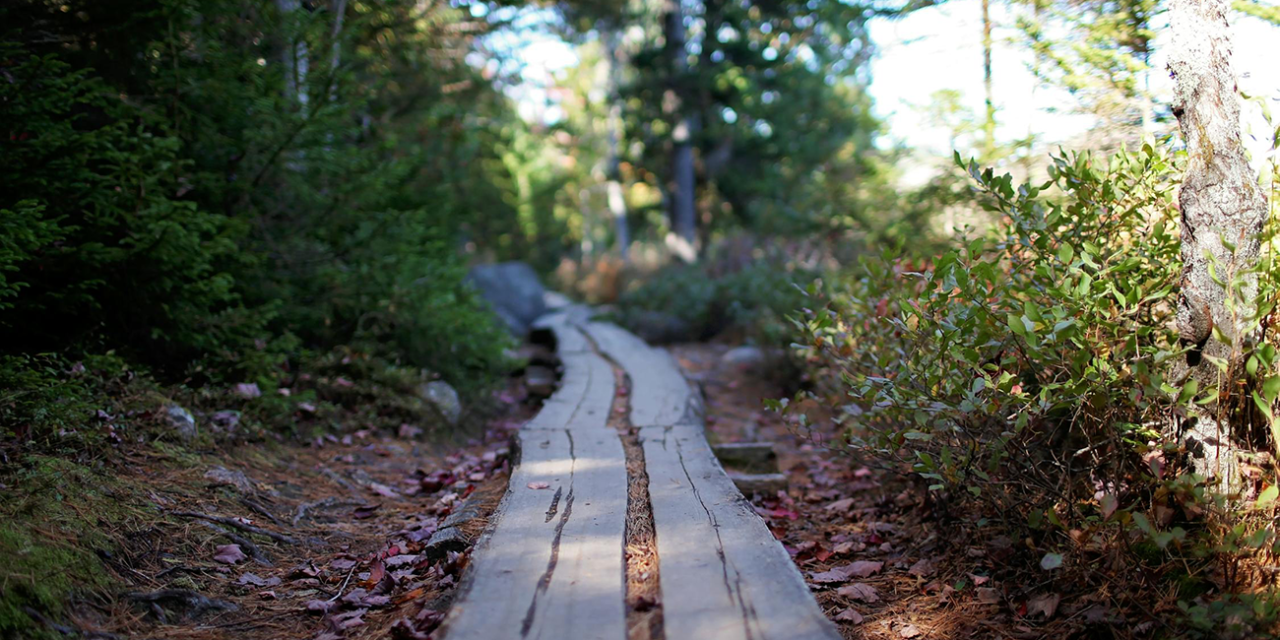 The History of the State of Maine