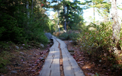 The History of the State of Maine