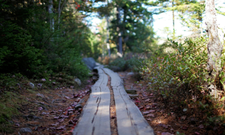 The History of the State of Maine