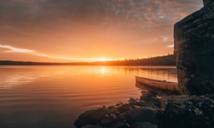 The History of the State of Minnesota