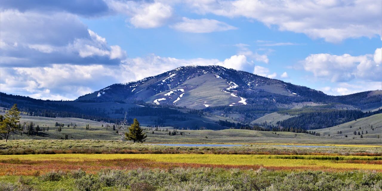 The History of the State of Montana