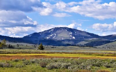 The History of the State of Montana