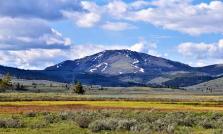 The History of the State of Montana