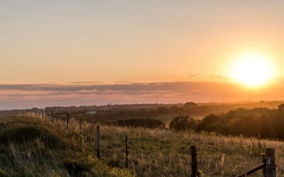 The History of the State of Nebraska