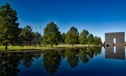 The History of the State of Oklahoma