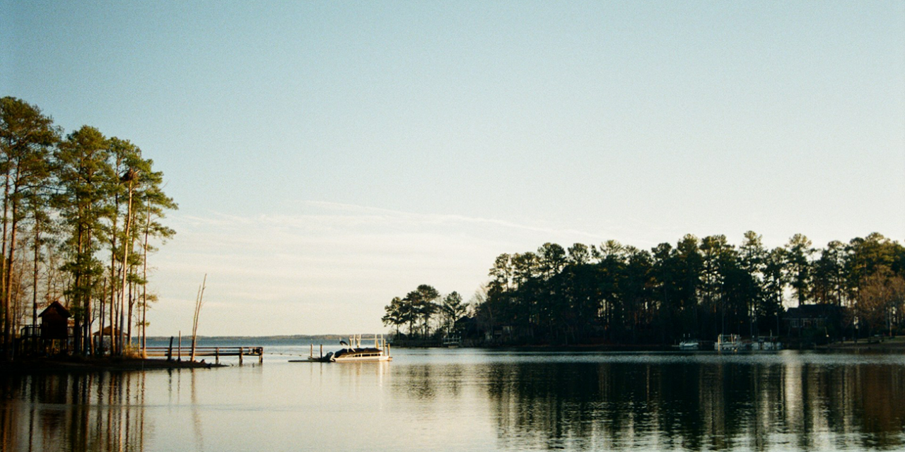 The History of the State of South Carolina