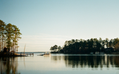 The History of the State of South Carolina