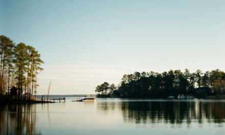 The History of the State of South Carolina