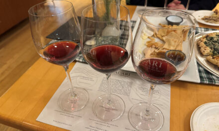 Macari Vineyards on Long Island in Mattituck, New York | 10-Year Anniversary