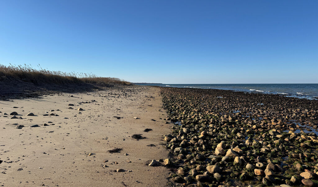 Montauk Point Beach