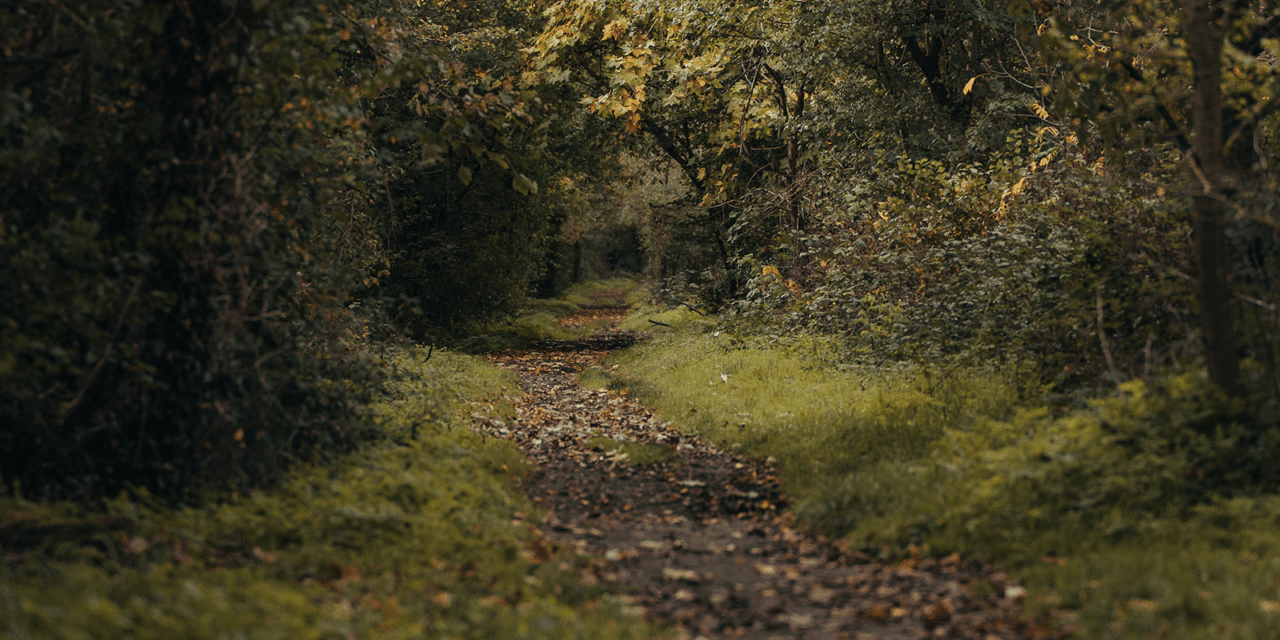 The History of Folklore, Myths, and Legends in America