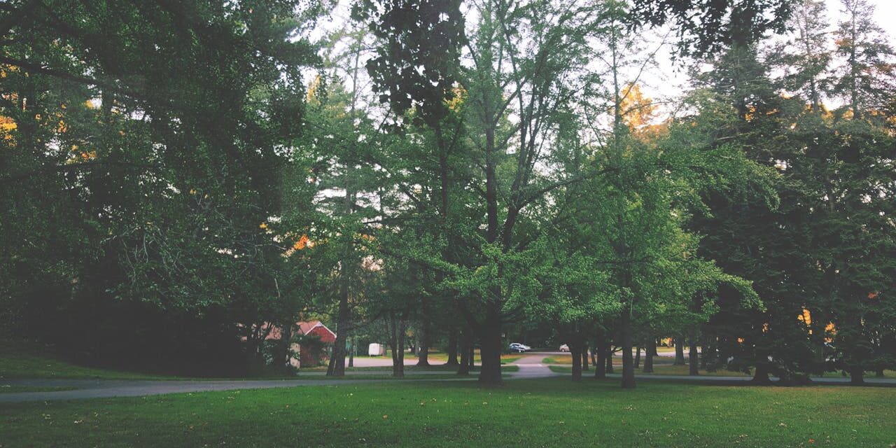 The History of Montclair Township, New Jersey