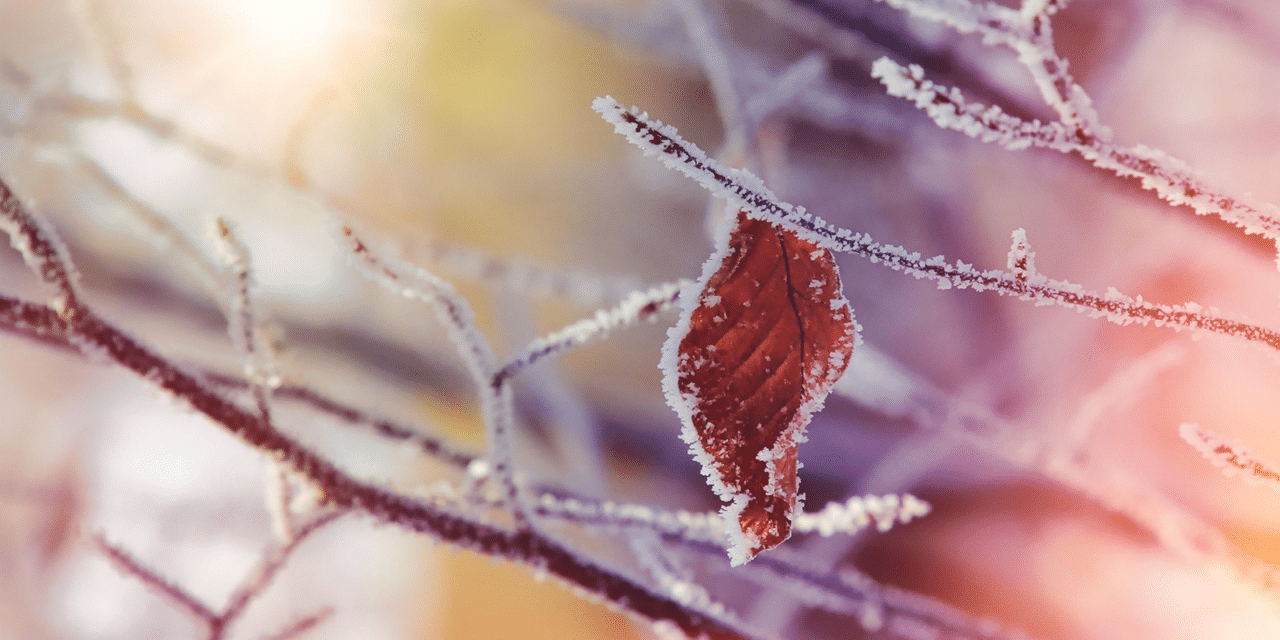 The History of Washington Township, New Jersey (Gloucester County)