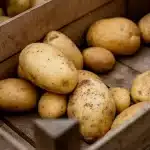 The History of Marlboro Township, New Jersey