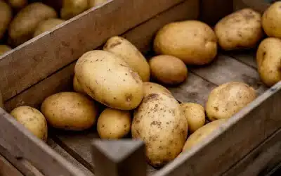 The History of Marlboro Township, New Jersey